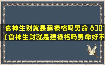 食神生财就是建禄格吗男命 🐴 （食神生财就是建禄格吗男命好不好）